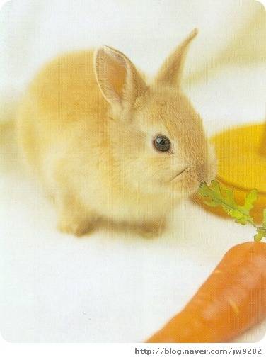 어느날... 당신에게 3가지 초능력이 주어진다면!? | 인스티즈