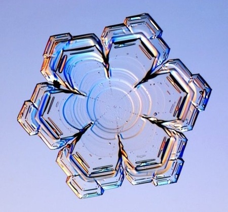 자연의 신비 - 눈결정 | 인스티즈