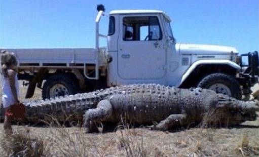 현실에 존재하는 신기한 생명체들.jpg | 인스티즈