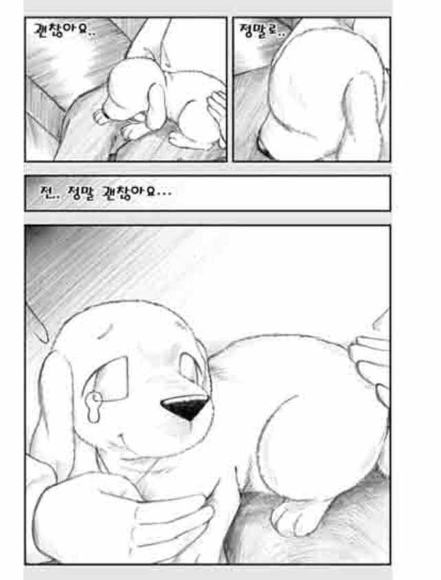 [눈물주의슬픔주의] 당신은 강아지에게 다정한 주인인가요? | 인스티즈