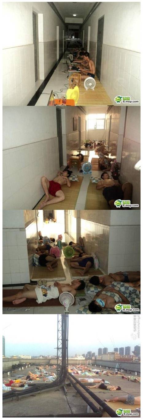 흔한 대륙의 기숙사... | 인스티즈