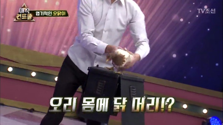 최현우 충격 엽기적인 동물마술 | 인스티즈