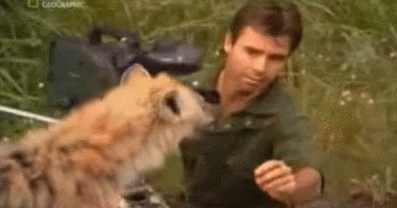 하이에나와 교감.gif | 인스티즈