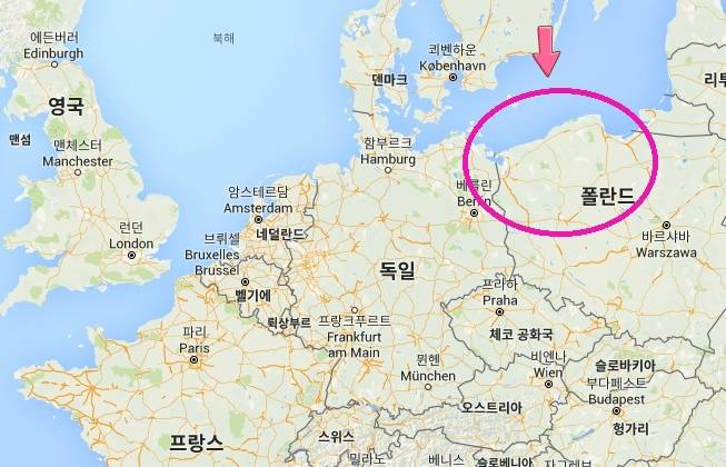 견종 이야기 - 포메라니안 | 인스티즈