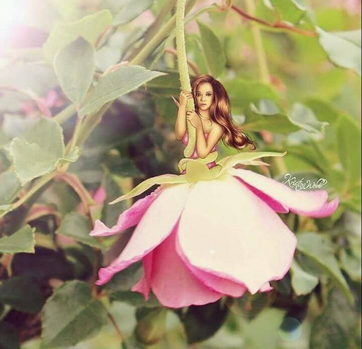 19세소녀의 일러스트 | 인스티즈