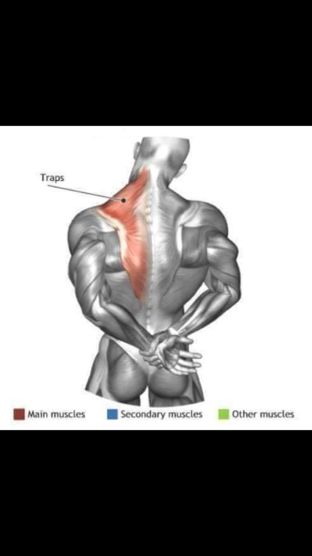 스트레칭간 근육 이완 부위 | 인스티즈