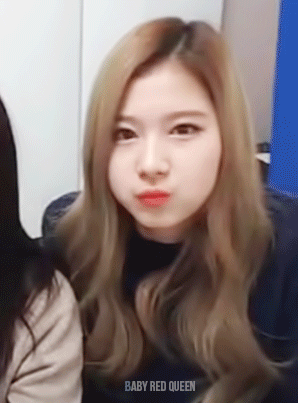 남자들이 전형적으로 좋아할만한 상냥한 여자같은 트와이스 멤버.gif | 인스티즈