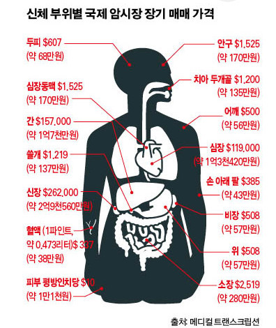신체부위별 장기매매 가격 | 인스티즈