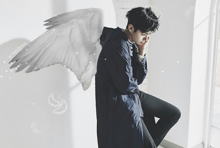 남자 요정이 있다면 이렇게 생기지 않았을까? (feat.박보검) | 인스티즈