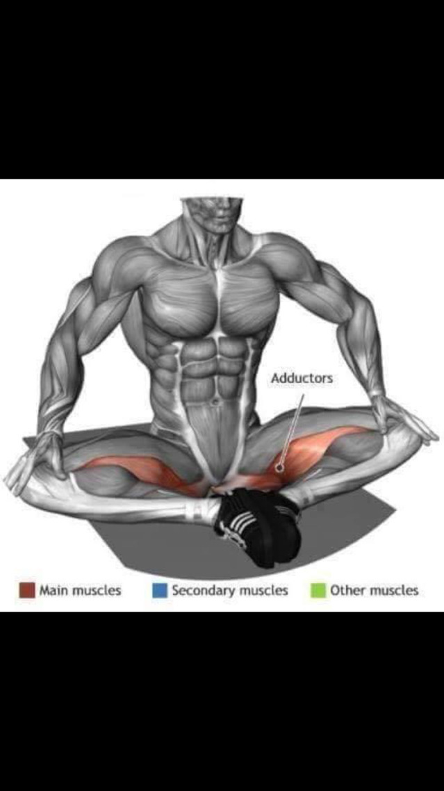 스트레칭간 근육 이완 부위 | 인스티즈