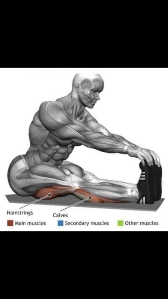 스트레칭간 근육 이완 부위 | 인스티즈