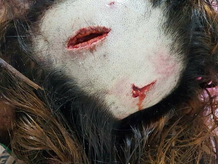 부산 여중생 폭행사건,피해자 학생 상태 심각성 | 인스티즈