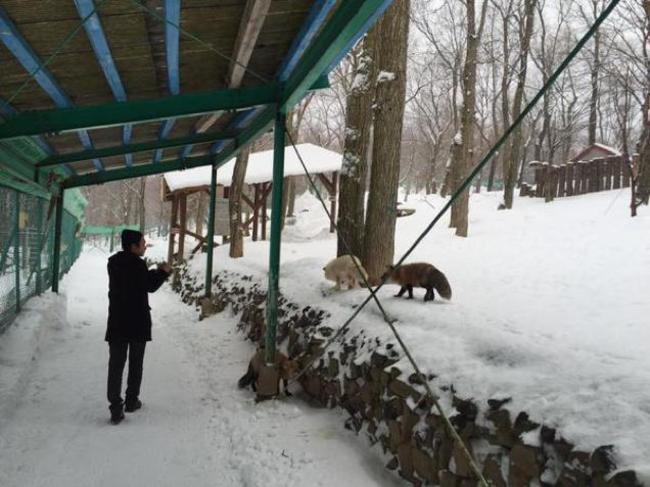 일본 여우 마을 | 인스티즈