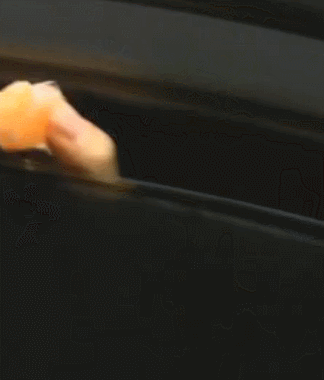 자동차 창문틈 사이로 무나하는 아이돌 | 인스티즈