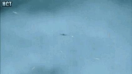 실제 대공포화 | 인스티즈