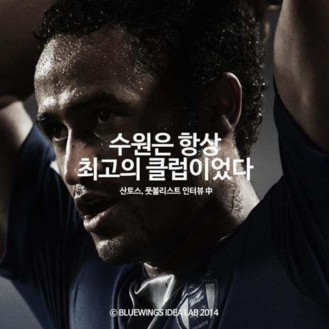 수원을 사랑하는 이들이여 | 인스티즈