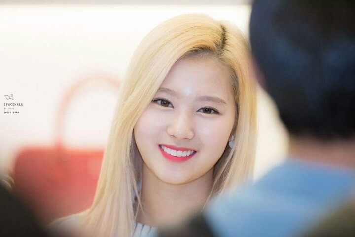 샤니빵 보다는 사나 | 인스티즈