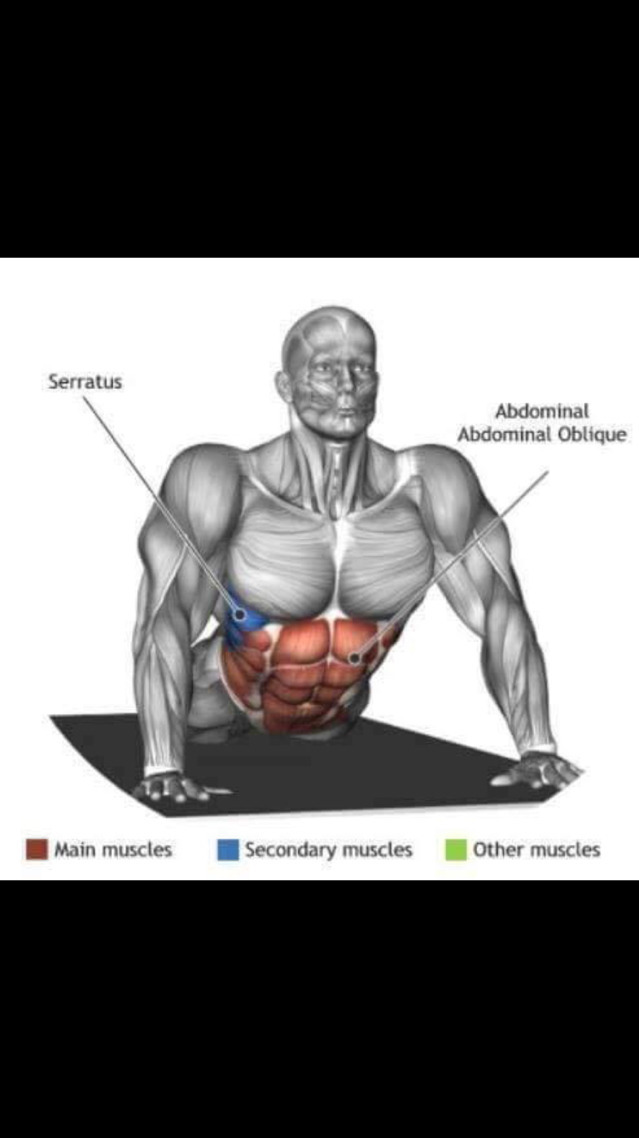 스트레칭간 근육 이완 부위 | 인스티즈