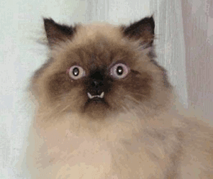 긴장감 백 배 일상에서 눈치 게임하는 순간들 6가지 | 인스티즈