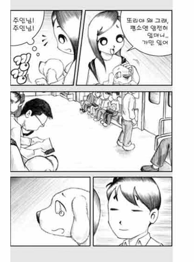 [눈물주의슬픔주의] 당신은 강아지에게 다정한 주인인가요? | 인스티즈