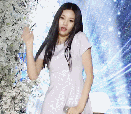 [프로듀스] 메이저 갤러리를 가진 10명의 연습생들 | 인스티즈