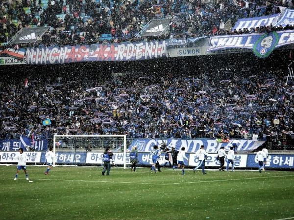 수원을 사랑하는 이들이여 | 인스티즈