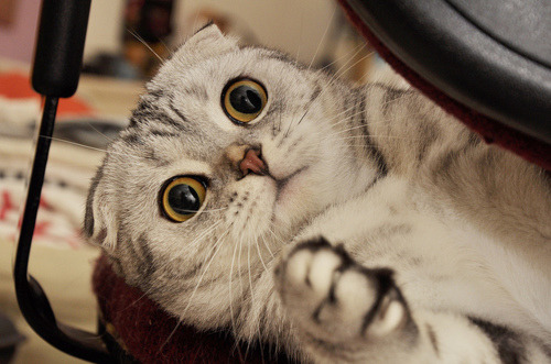 마녀는 왜 다 매부리코야? 왜 뾰족모자를 쓰고 있어? | 인스티즈