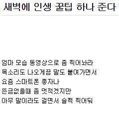 새벽에 쓰는 인생 꿀팁 | 인스티즈