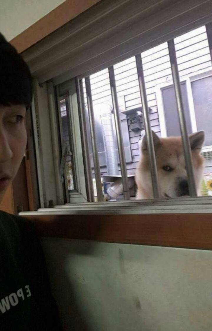 반지하방을 훔쳐보는 시선...ㄷㄷ | 인스티즈