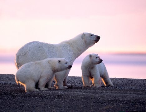  영국 BBC가 예측한 150년 후의 미래 | 인스티즈