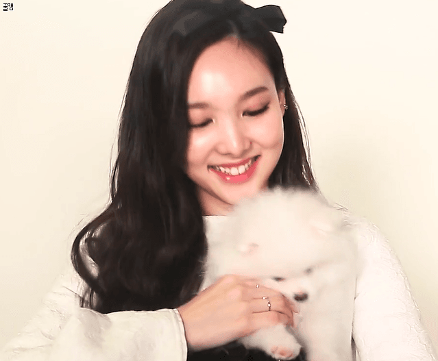 [트와이스] 나연쓰와 광고 찍은 멍멍쓰 ㅋㅋㅋㅋ | 인스티즈