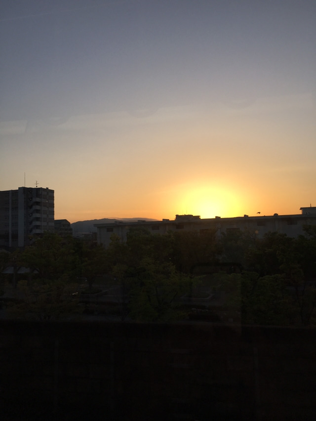 나홀로 교토여행 13박14일(4일차-1 이네초후나야,아마노하시다테) | 인스티즈