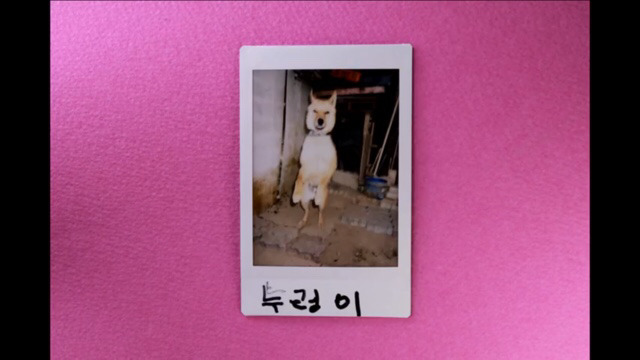 박막례 할머니에게 일주일동안 즉석 카메라를 맡겼을 때 | 인스티즈