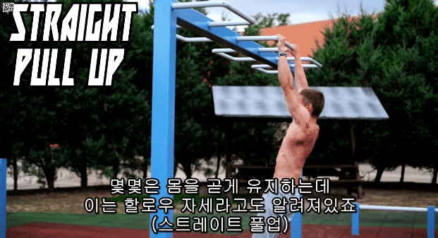 퍼펙트 풀업 (정자세 턱걸이) 하는법.jpg,gif | 인스티즈