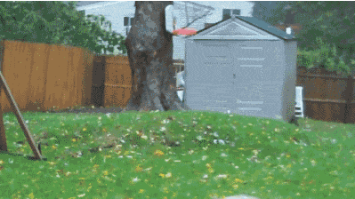 한 번 입 잘못 벌렸다가 영원히 고통 받는 뚱이 (15) | 인스티즈