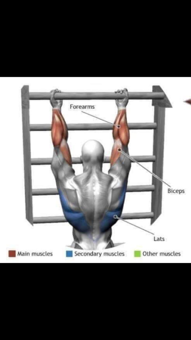 스트레칭간 근육 이완 부위 | 인스티즈