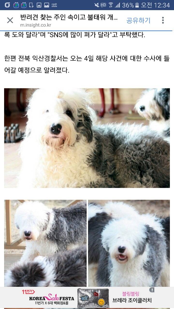 반려견 찾는 주인 속이고 불태워 개고기로 먹은 주민들 (사진) | 인스티즈