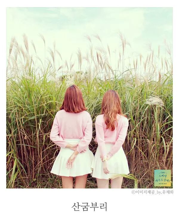 제주도 사진찍기 좋은 스팟.jpg | 인스티즈