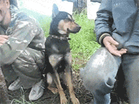 지하철에서 이렇게 조는 사람 꼭 있다 6가지 유형 | 인스티즈