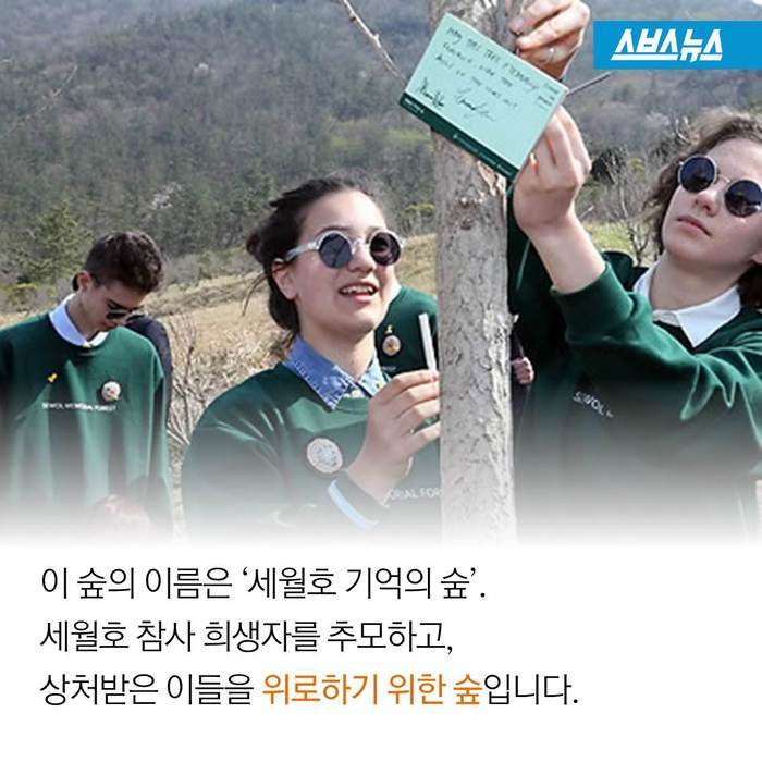  세상에서 가장 아름다운 여배우 | 인스티즈