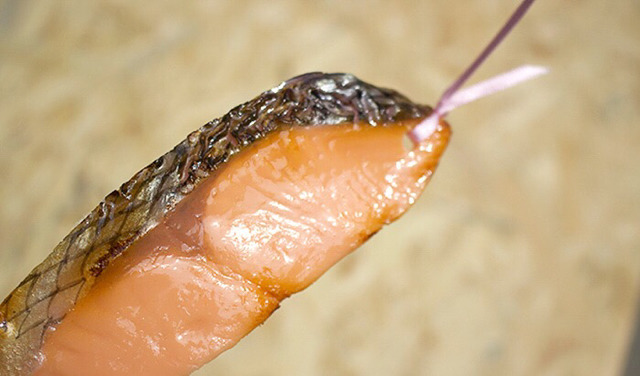 일본의 책갈피 클라스 ㄷㄷ | 인스티즈