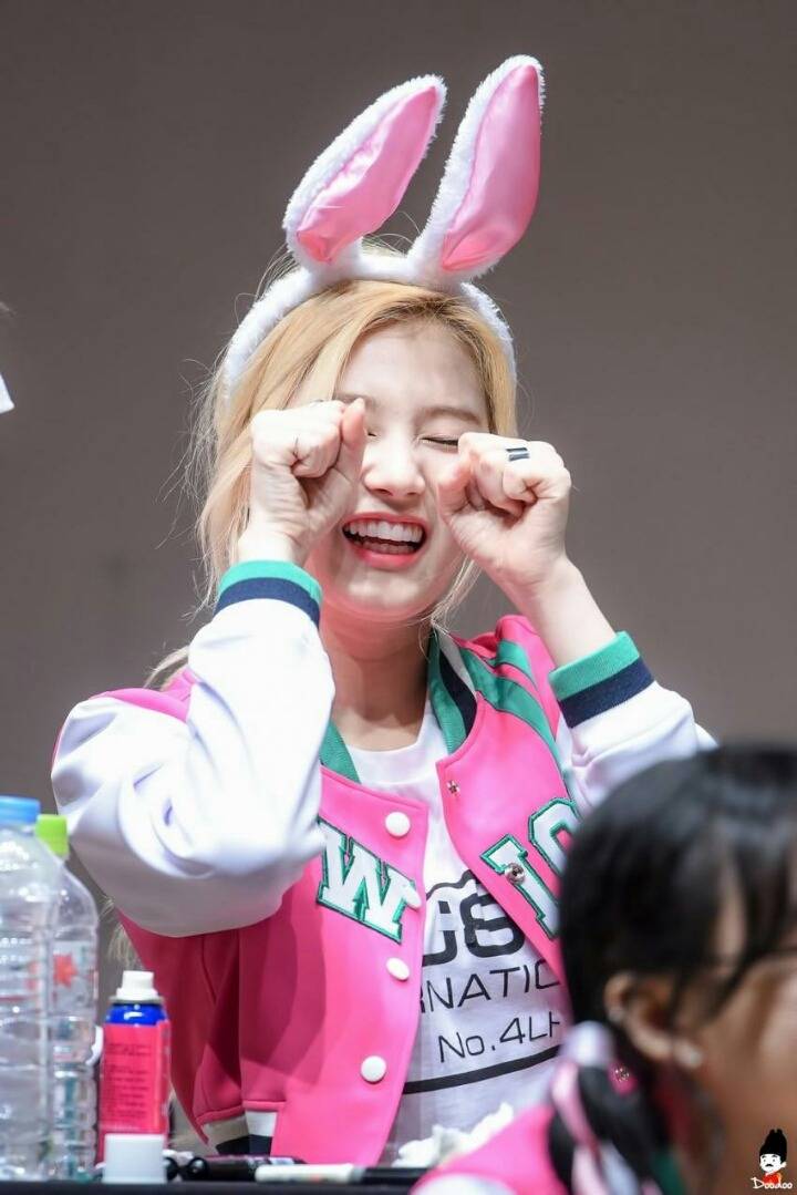 트와이스 사나 | 인스티즈