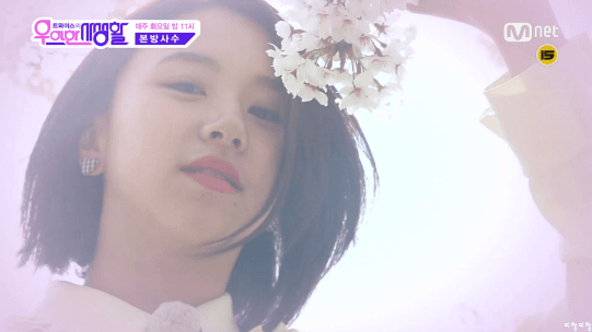 트와이스 덕질의 종착지 채영 | 인스티즈