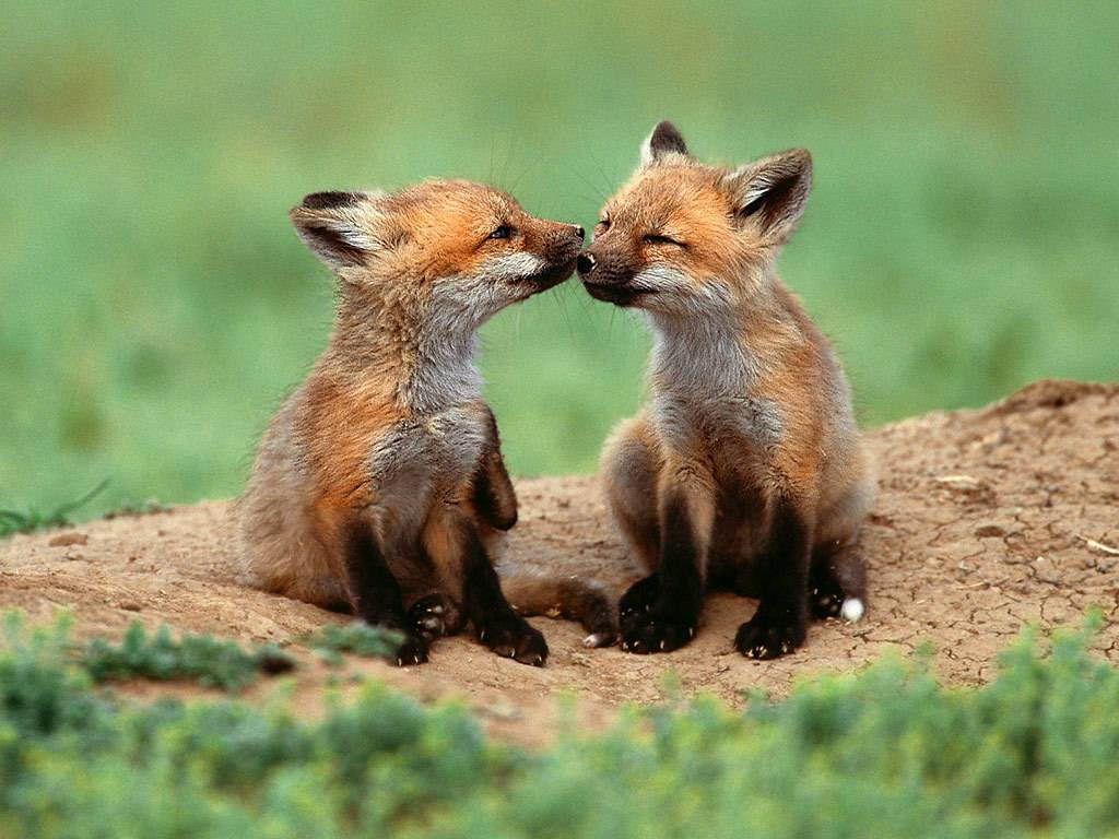 아가들은 귀엽다.JPG | 인스티즈