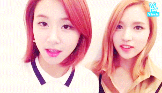 [트와이스] 강아지과 vs 고양이과 | 인스티즈