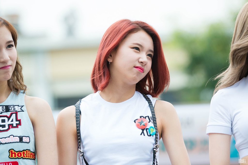 아기맹수 채영이 | 인스티즈