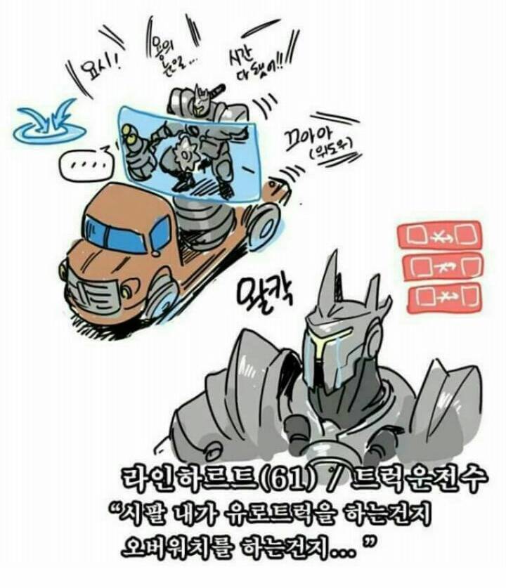 라인하르트를 반강제적으로 할때마다 드는 생각 (오버워치) | 인스티즈