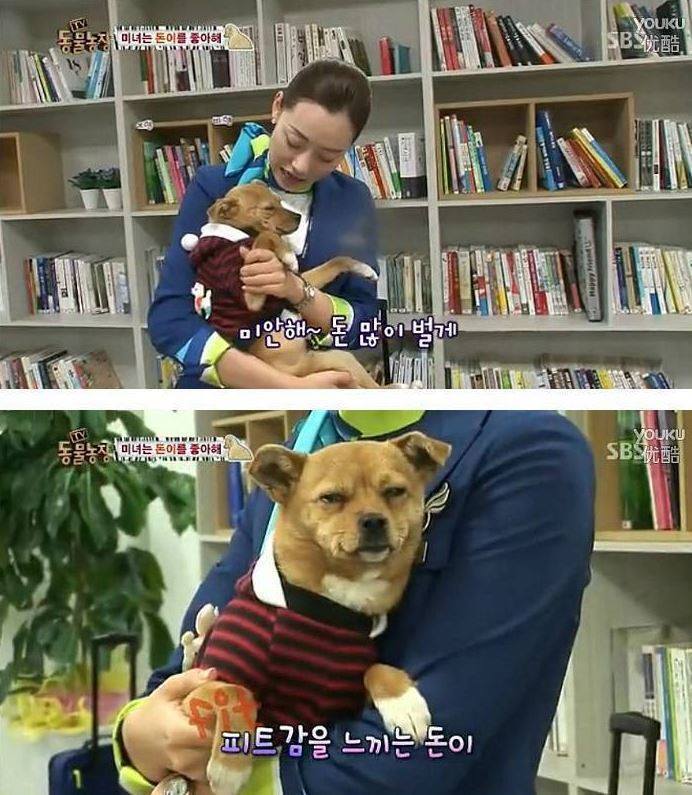 여자만 좋아하는 강아지 | 인스티즈