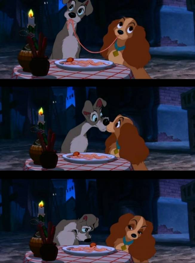 킹 찰스 스파니엘에 대하여 | 인스티즈