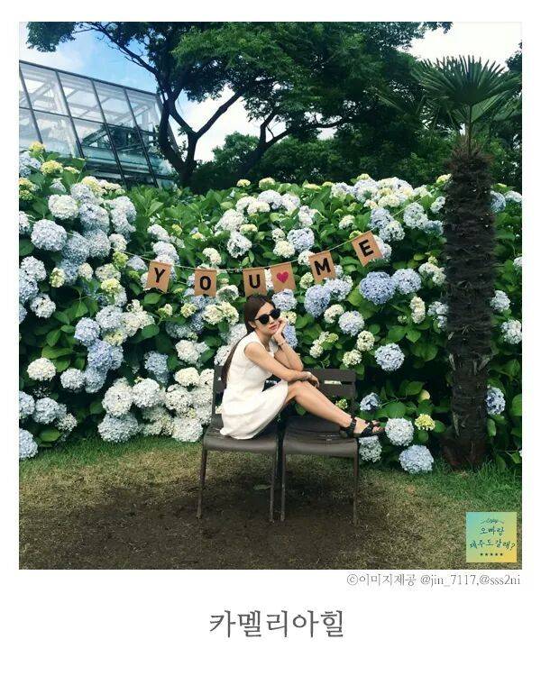 제주도 사진찍기 좋은 스팟.jpg | 인스티즈